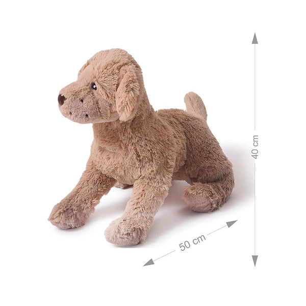Mi Arcus Truffle Dog Soft Toy