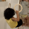 Curious Cub Wall Mounted Jungle Gym