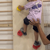 Curious Cub Wall Mounted Jungle Gym