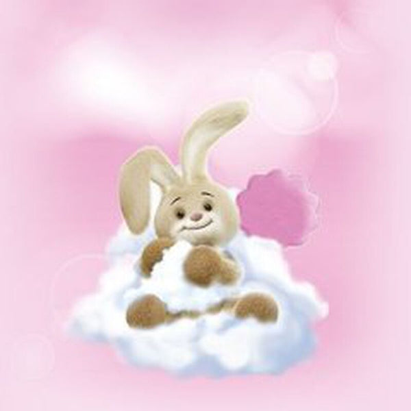 Chicco Softener (Delicate Flowers) (750Ml)