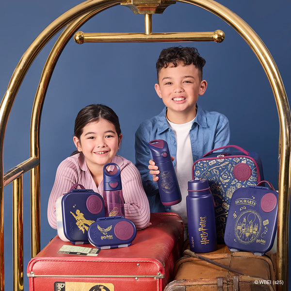 B Box Snack Box - Harry Potter