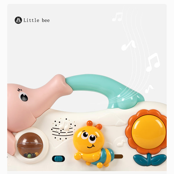 Hola 4-in-1 Design Musical Activity Play Mat