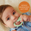 B Box Trio Teether - Sage Green