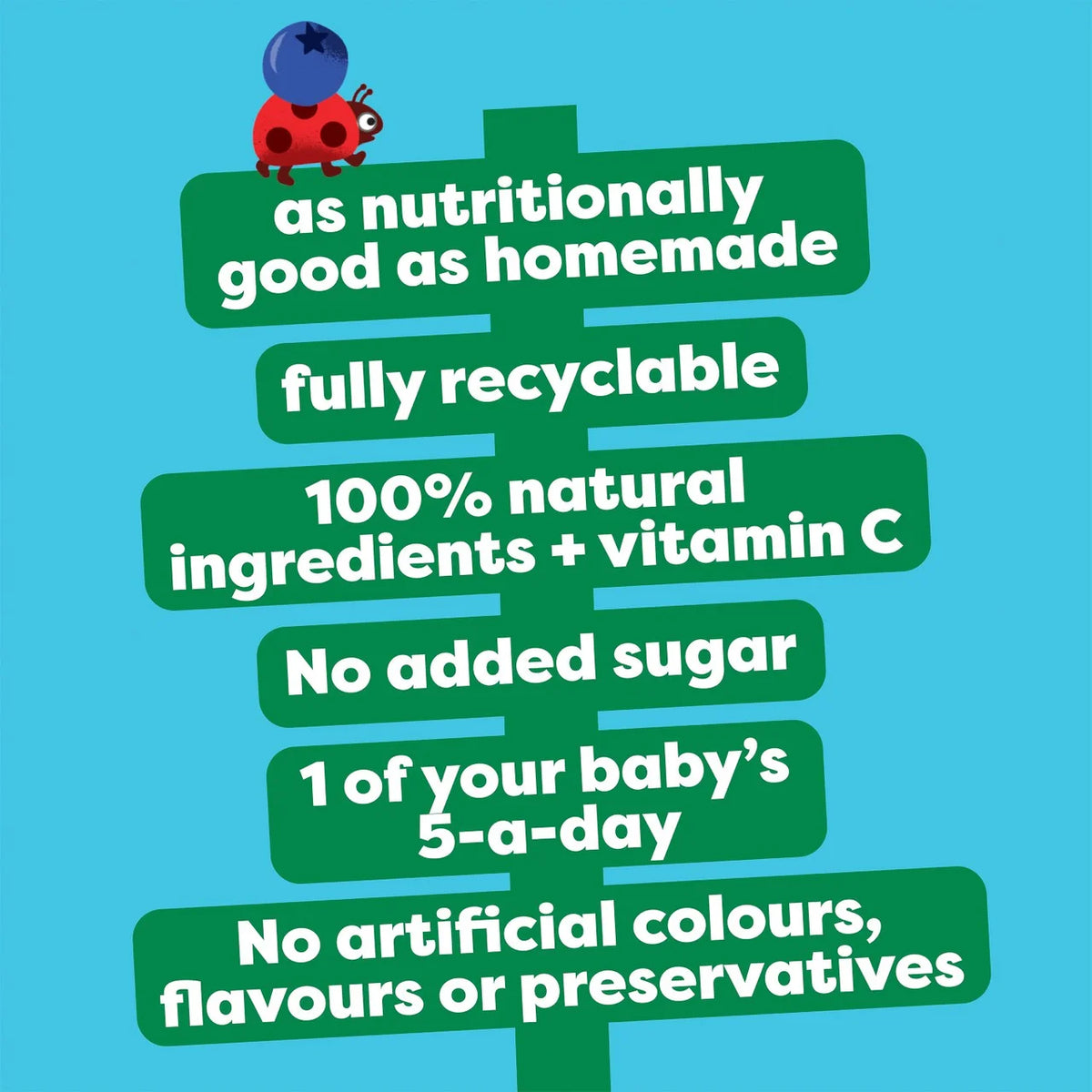 Heinz Apple & Blueberry Baby Food Pouch – 6+ Months