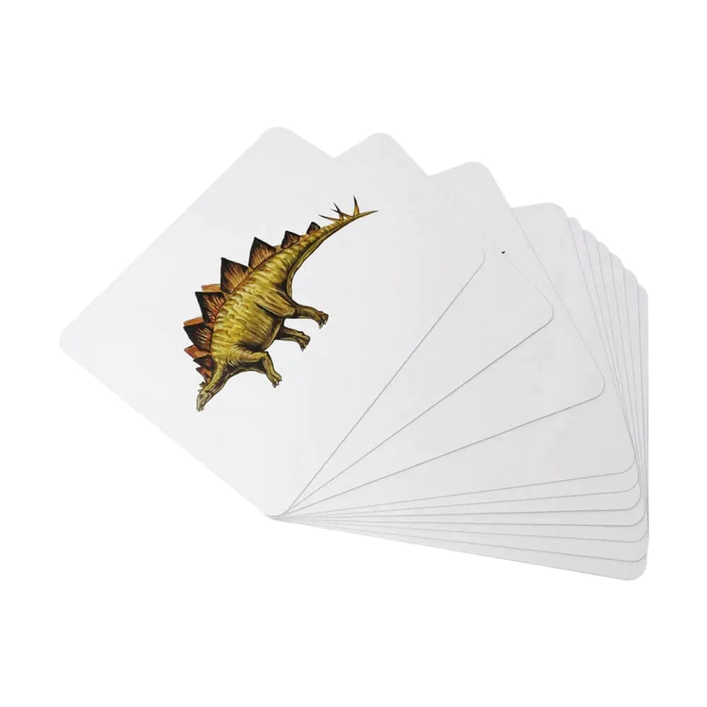 Brainsmith Dinosaurs Quantum Flash Cards | Set of 10 Learning Cards