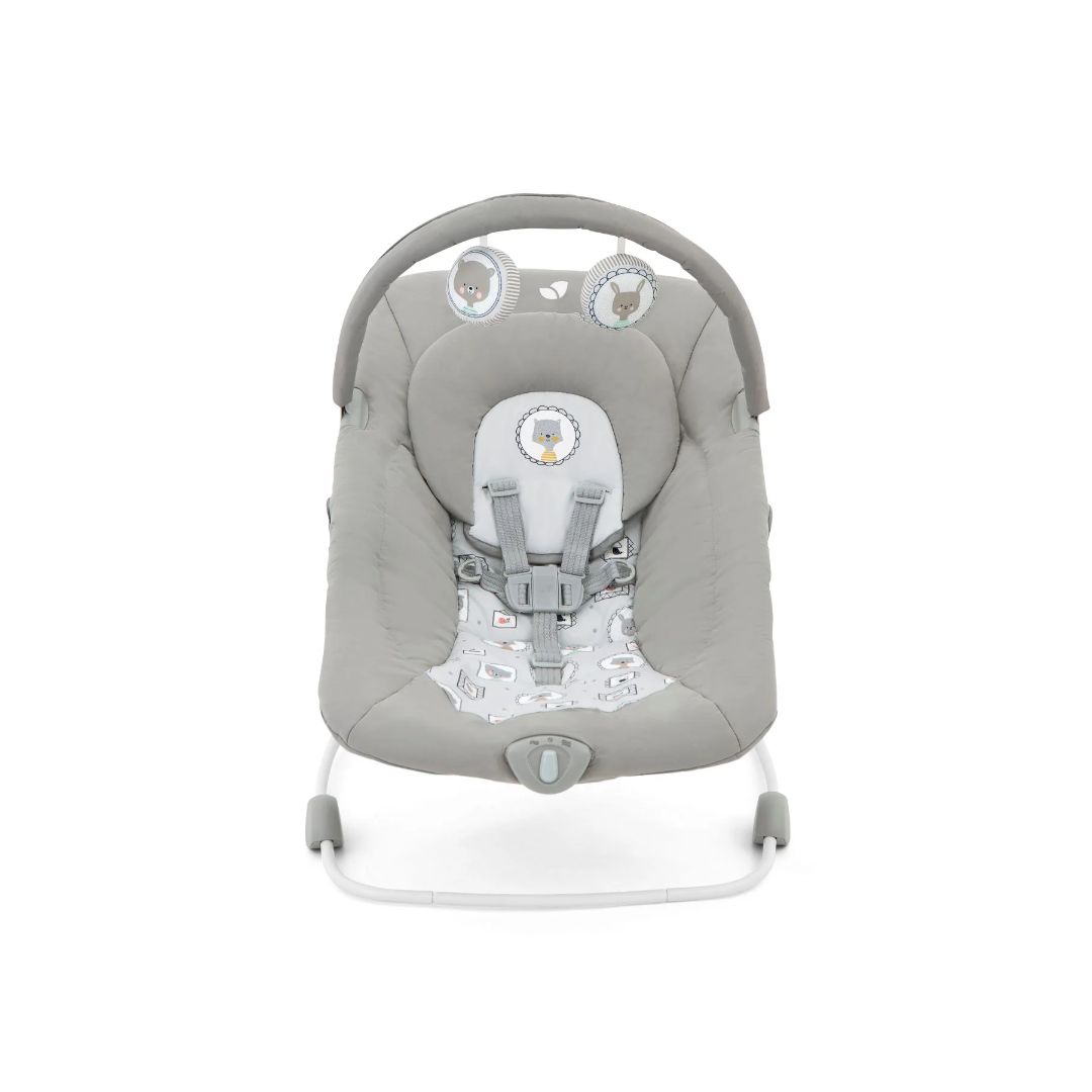 Joie Wish™ Bouncer & Rocker – Portrait