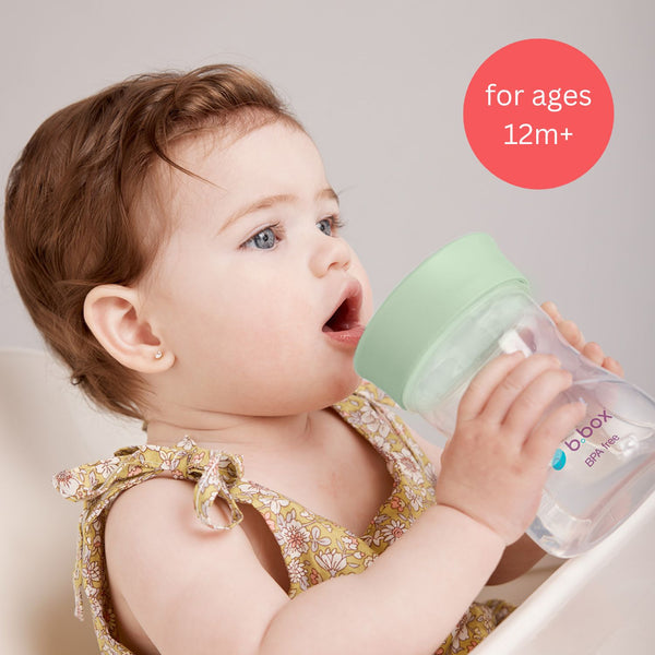 B Box Training Cup 240Ml - Sage Green