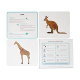 Brainsmith Quantum Cards Mammals