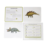 Brainsmith Dinosaurs Quantum Flash Cards | Set of 10 Learning Cards