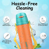Probott Tom Hot & Cold Insulated Bottle with Straw Strap 500ml - Assorted