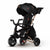 Qplay Nova Limited Edition 6 in 1 Trike- Golden Black