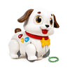 Hola Crawl & Pull Along Learning Puppy
