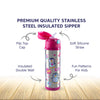 Hopop Insulated Stainless Steel Sipper Water Bottle 480 ml Assorted