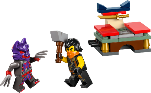 LEGO NINJAGO Tournament Training Ground 49 Pieces Multicolour