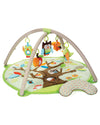 Skip Hop Treetop Friends Baby Activity Gym