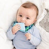 Cheeky Chompers Baby Dino Neckerchew