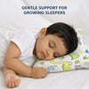 Hopop Soft & Breathable Premium Cotton Toddler Pillow with Pillowcase One Size – Assorted Print
