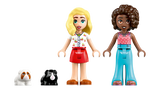 Lego Friends 42640 Guinea Pig Playground 5+