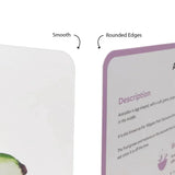 Brainsmith Fruits Quantum Flash Cards Set of 10 Cards 25.8 × 22.1 cm Multicolor