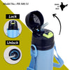 Probott Tom Hot & Cold Insulated Bottle with Straw Strap 500ml - Assorted