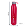 Probott Vogue Insulated Stainless Steel Water Bottles Pink - 500ml