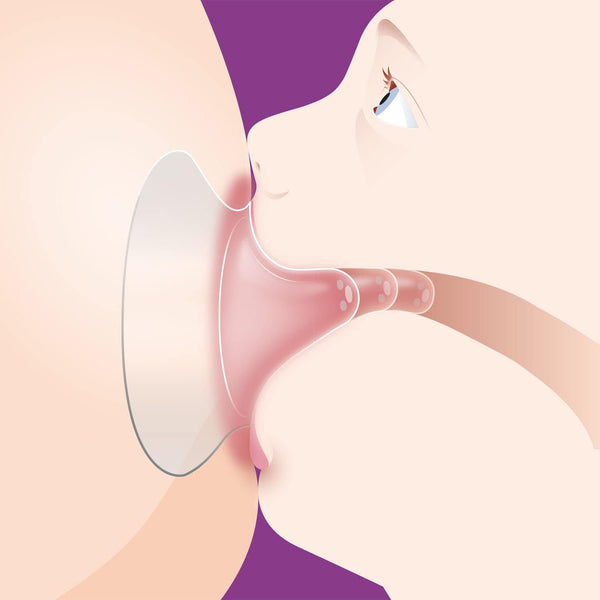 Philips Avent Nipple Shield Small 15 mm – Pack of 2 | SCF153/01