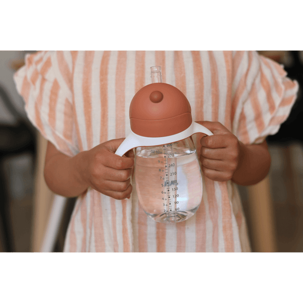 Beaba Straw Sipper 300 Ml - Terracotta