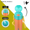 Probott Tom Hot & Cold Insulated Bottle with Straw Strap 500ml - Assorted
