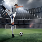 Innov8 Backyard Weatherproof Soccer Goal 8 ft × 5 ft