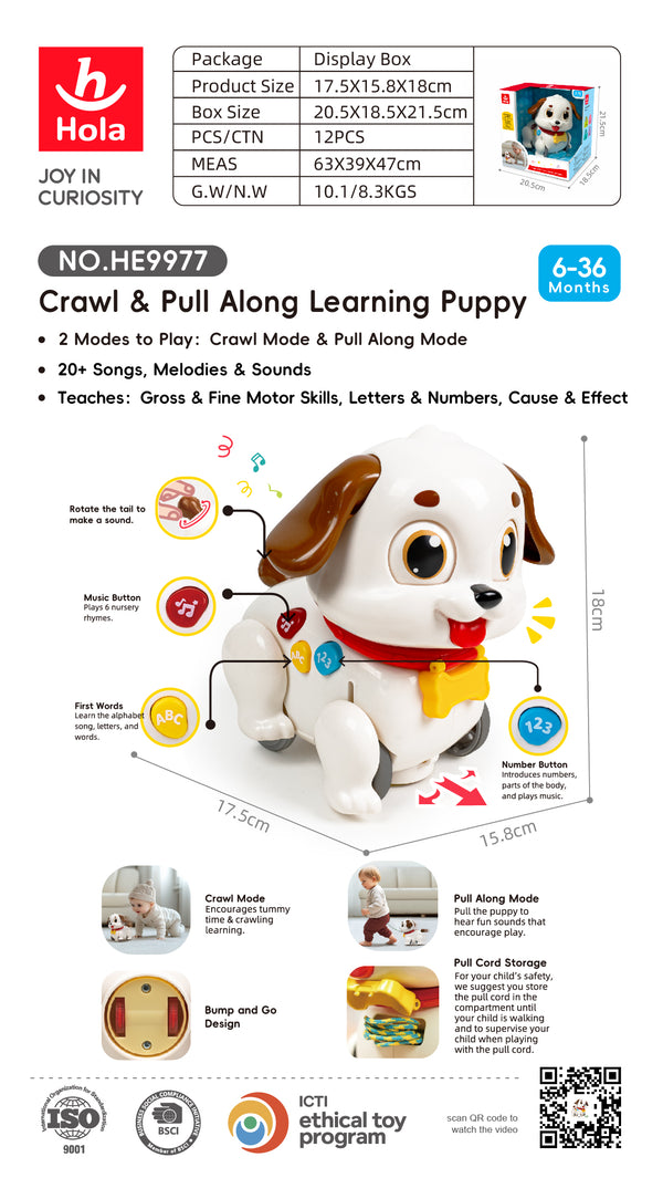 Hola Crawl & Pull Along Learning Puppy