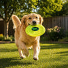 AWALS Glow Flyer Flexible Disc Big Size Neon