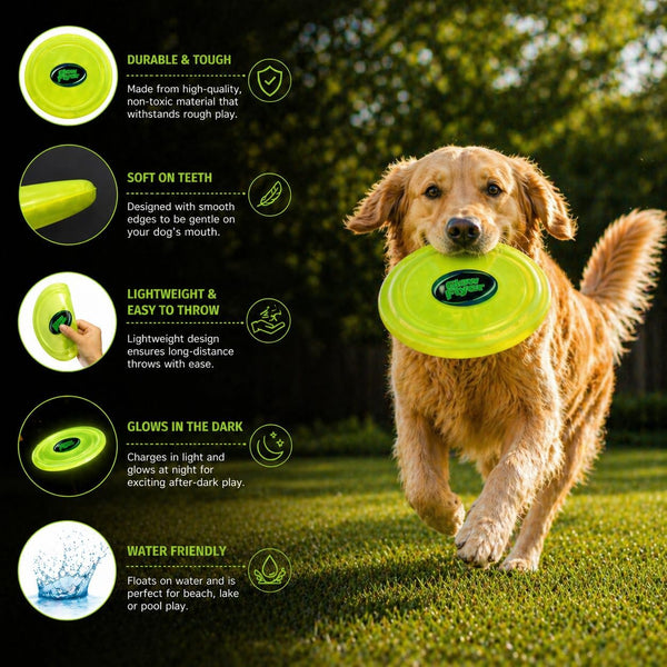 AWALS Glow Flyer Flexible Disc Big Size Neon