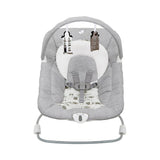Joie Wish™ Bouncer & Rocker – Petite City