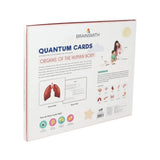 Brainsmith Organs of the Human Body Quantum Flash Cards Set of 10 Cards 25.8 × 22.1 cm Multicolor