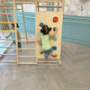 Curious Cub 7 in 1 Indoor Play Area