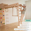 Curious Cub Wall Foldable Jungle Gym
