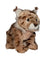 Wild Republic Mini Lynx Baby