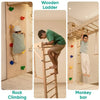 Curious Cub Wall Foldable Jungle Gym