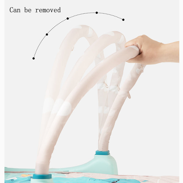 Hola 4-in-1 Design Musical Activity Play Mat