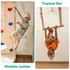 Curious Cub Wall Foldable Jungle Gym