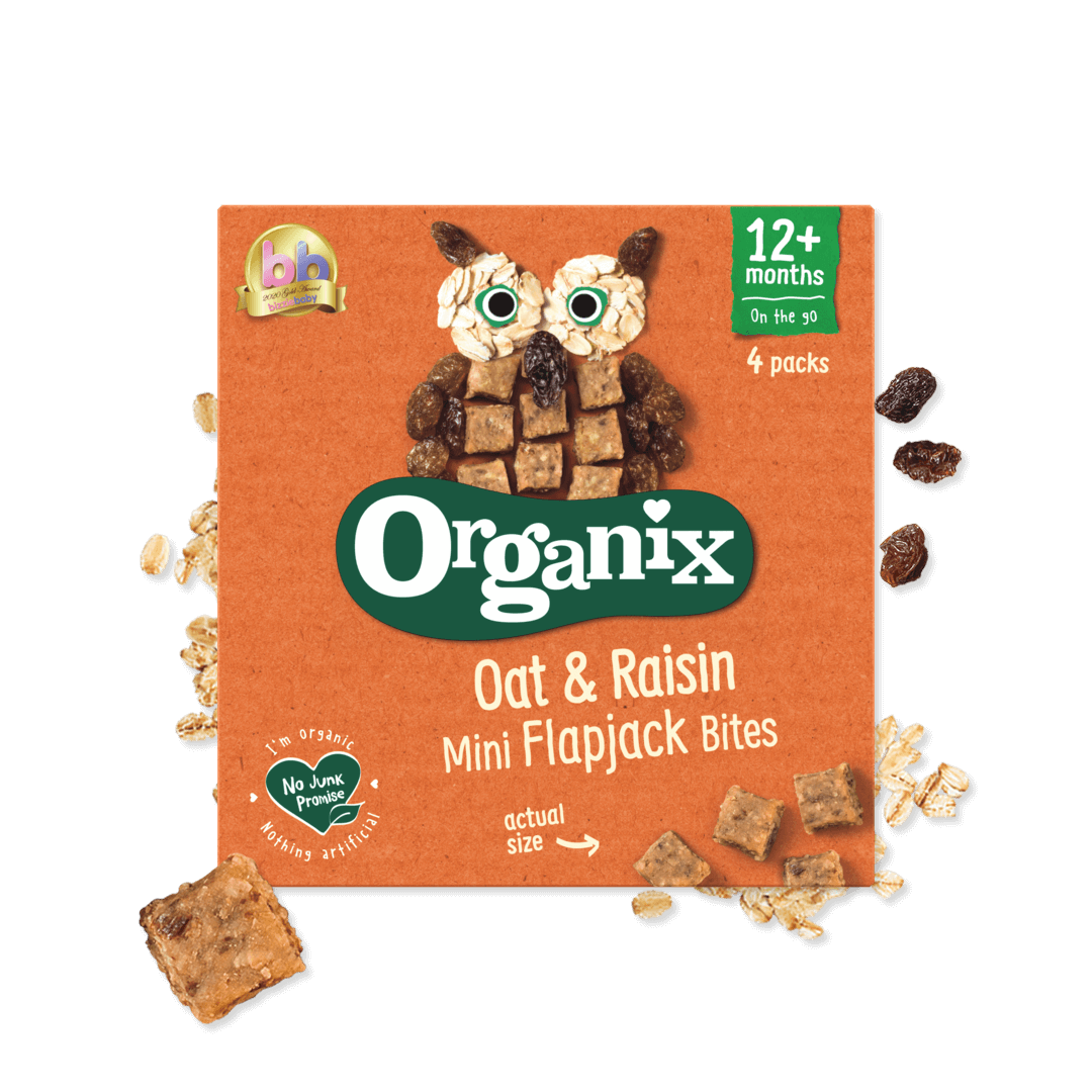 Organix Mini Oat & Raisin Flapjack Bites Toddler Snacks – 12+ Months, 4 x 20g