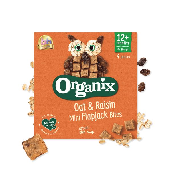 Organix Oat & Raisin Mini Flapjack Bites