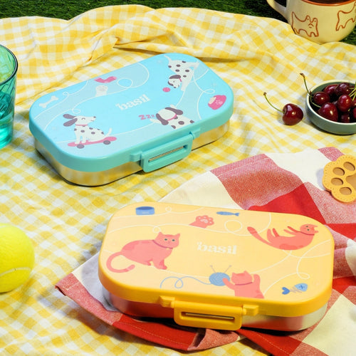 Basil Bento Ace 2 Compartment Lunchbox 600 ml Kitty Party