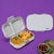 Basil Bento Ace 2 Compartment Stainless Steel Lunchbox 600 ml Classic Grey