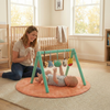 Role Play Animal Friends Play Gym