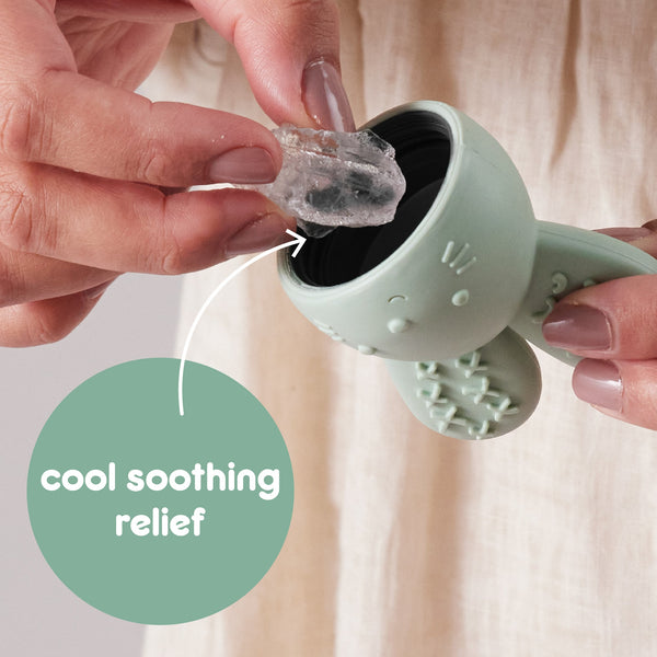 b.box Chill + Fill Cooling Teether – Sage Green | 3M+