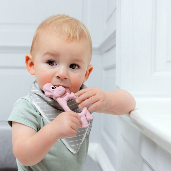 Teether BiBaDo Dotty the Dinosaur Silicone Teether 9 x 2 x 1 cm Blush