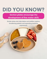 Bibado Silicone Suction Divider Plate – Fawn | Baby Weaning Plate