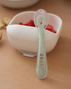 Béaba 1st Stage Silicone Baby Feeding Spoon 4M+ – Misty Green