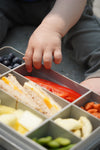 Melii Snackle Box Regular Grey 12 Compartment